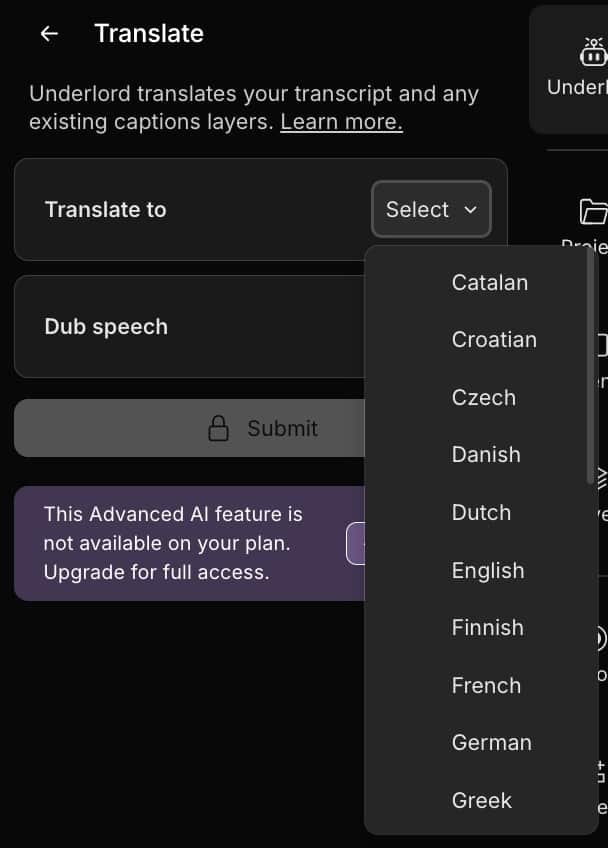 Descript Translate Tool