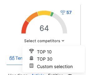 Neuronwriter Content Score Feature